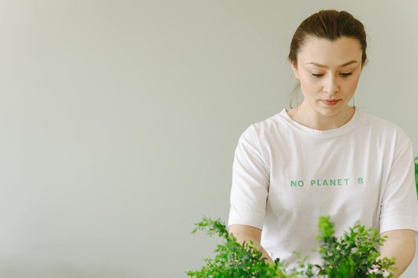 Découvrez les Jeux de Société en Ligne Incontournables pour des Soirées Mémorables